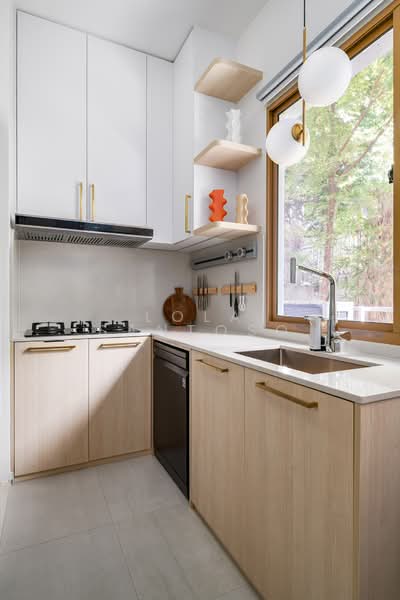 The Maylea, 242K Pasir Panjang Road, 3 Bedrooms, 1,259 sqft, Condominium For Sale, by Lola Santoso, 500102399 - Wet Kitchen - PropertyGuru.com.sg