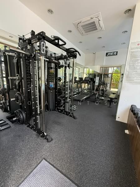The Maylea, 242K Pasir Panjang Road, 3 Bedrooms, 1,259 sqft, Condominium For Sale, by Lola Santoso, 500102399 - Gym - PropertyGuru.com.sg