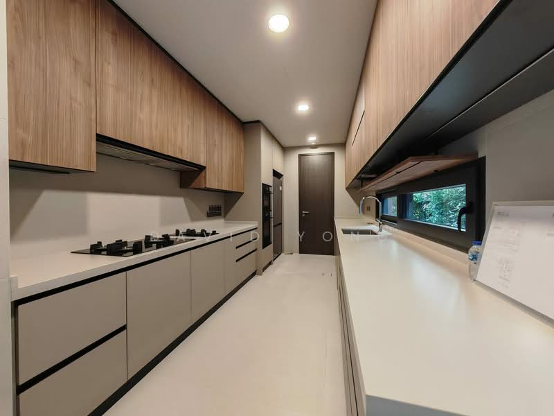 Greenbank Park Brand New Semi Detached, , 5 Bedrooms, 5,436 sqft, Semi-Detached House For Sale, by David Yong, 500102405 - Kitchen - PropertyGuru.com.sg