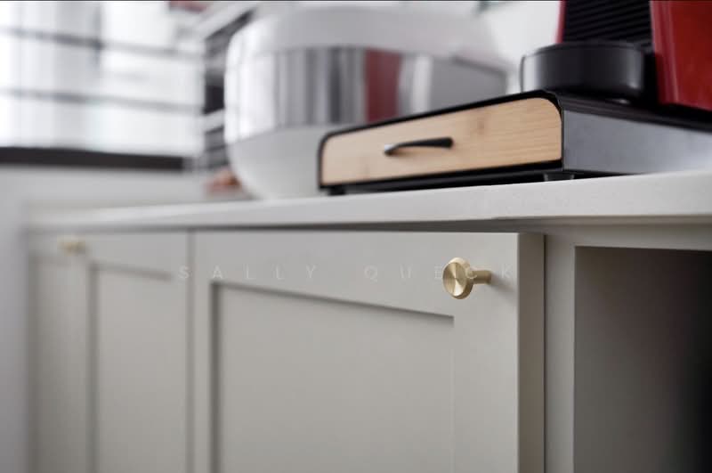 111A Alkaff Crescent, 111A Alkaff Crescent, 3 Bedrooms, 1,000 sqft, HDB Flat For Sale, by Sally Queck, 500102487 - Interior - PropertyGuru.com.sg