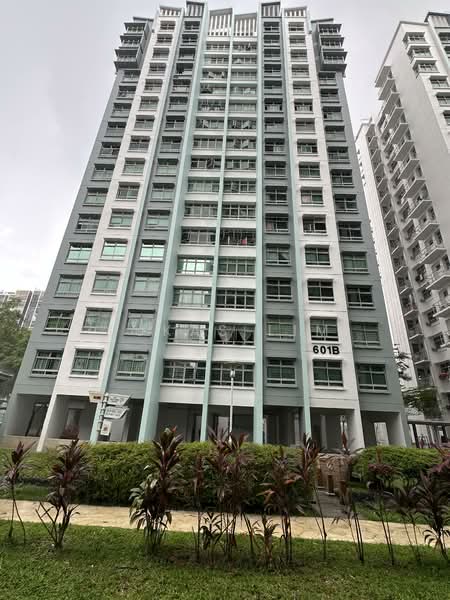 601B Punggol Central, 601B Punggol Central, 1 Bedroom, 538 sqft, HDB Flat For Sale, by Lukas Lim, 500102648 - Exterior - PropertyGuru.com.sg