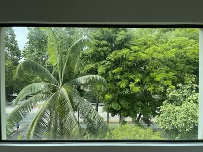 For Rent - 717 Bukit Timah Road