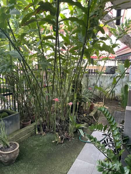 15 bedok rise, , 4 Bedrooms, 2,852 sqft, Semi-Detached House For Sale, by Vmano Tharmalingam, 500102975 - Garden - PropertyGuru.com.sg