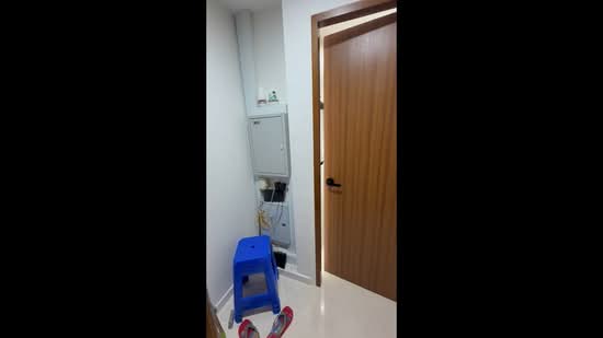 Trilive, 111 Tampines Road, 1 Bedroom, 400 sqft, Condominium For Rent, by Zen Tan, 500103086 - PropertyGuru.com.sg