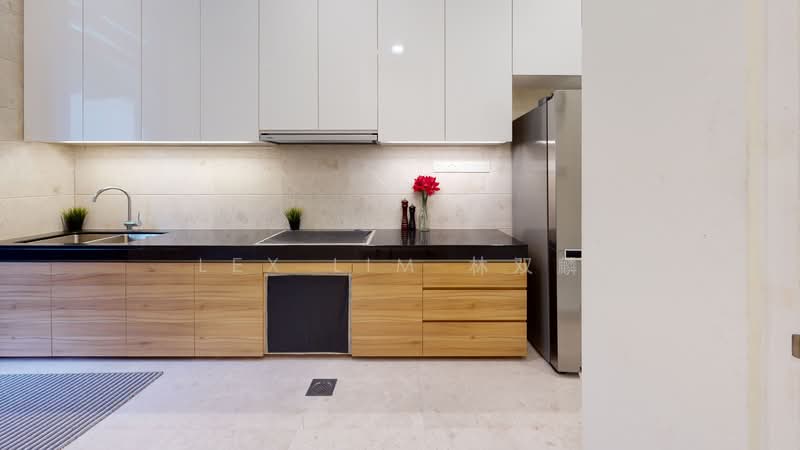 ONE TREE HILL, , 5 Bedrooms, 4,180 sqft, Semi-Detached House For Rent, by Lex Lim 林双麟, 500103166 - Kitchen - PropertyGuru.com.sg
