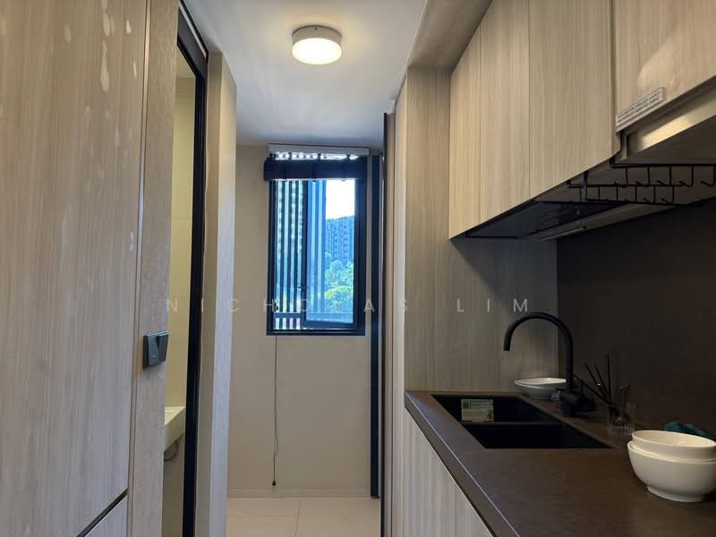 The Hyde, 11 Balmoral Road, 4 Bedrooms, 1,572 sqft, Condominium For Sale, by Nicholas Lim, 500103198 - Kitchen - PropertyGuru.com.sg
