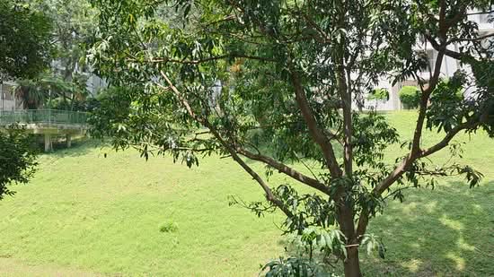 83 Redhill Lane, 83 Redhill Lane, Room Rental, 100 sqft, HDB Flat For Rent, by Katherine Tan, 500103231 - PropertyGuru.com.sg