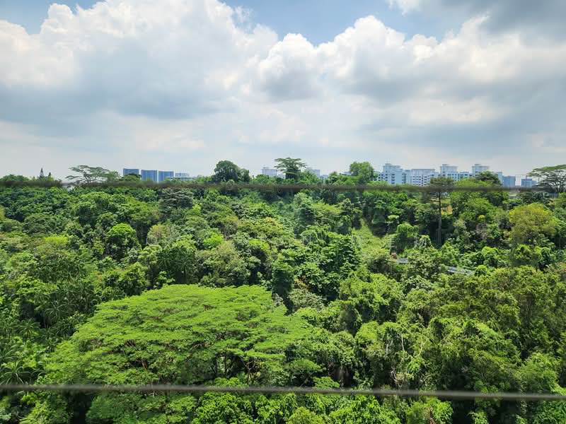 90A Telok Blangah Street 31, 90A Telok Blangah Street 31, 3 Bedrooms, 1,001 sqft, HDB Flat For Sale, by Jon Chin 陈建扬, 500103426 - View - PropertyGuru.com.sg