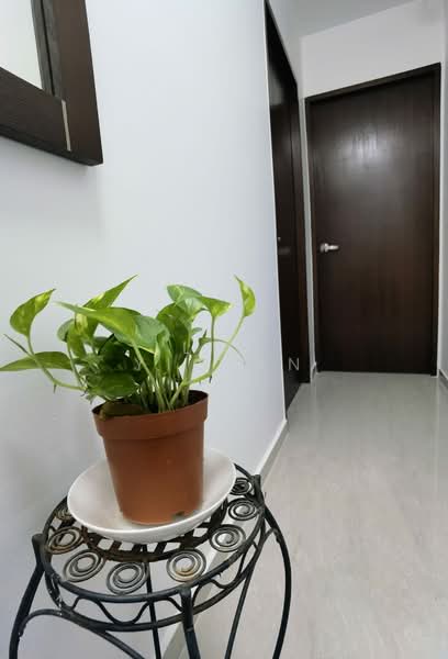 455220, , 1 Bedroom, 290 sqft, Walk-up Apartment For Rent, by Lin Yiqian, 500103565 - Interior - PropertyGuru.com.sg