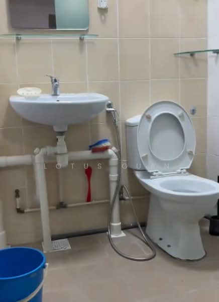 729 Clementi West Street 2, 729 Clementi West Street 2, Room Rental, 200 sqft, HDB Flat For Rent, by Lotus Guan, 500103587 - Bathroom - PropertyGuru.com.sg