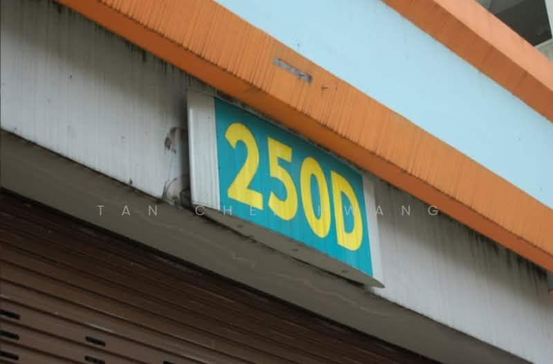 For Rent - 250D Compassvale Street