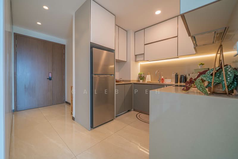 Normanton Park, 47 Normanton Park, 2 Bedrooms, 667 sqft, Condominium For Rent, by Caleb Peh, 500103771 - Kitchen - PropertyGuru.com.sg
