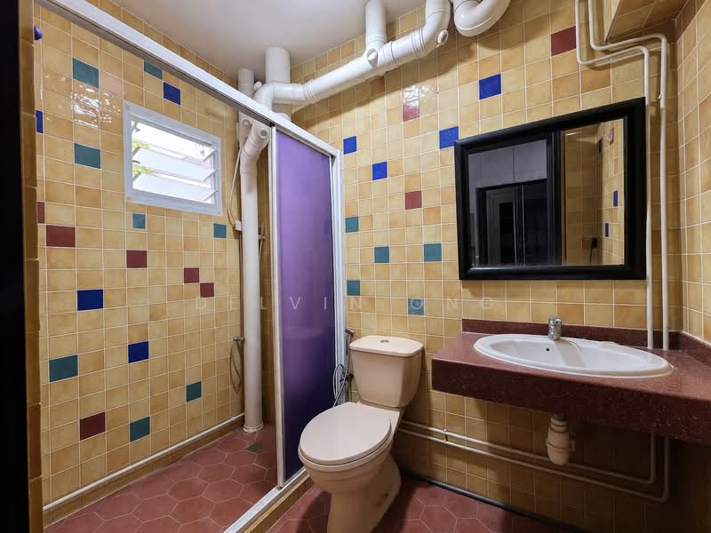 257A Compassvale Road, 257A Compassvale Road, 2 Bedrooms, 1,184 sqft, HDB Flat For Sale, by Delvin Ong, 500103787 - Bathroom - PropertyGuru.com.sg