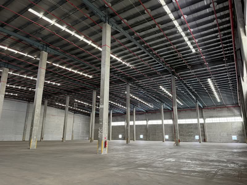 High Ceiling 12m, Floor Loading 20Kn/m2 Warehouse, , 96,000 sqft, Warehouse For Rent, by Betsy Loh, 500103807 - Interior - CommercialGuru.com.sg