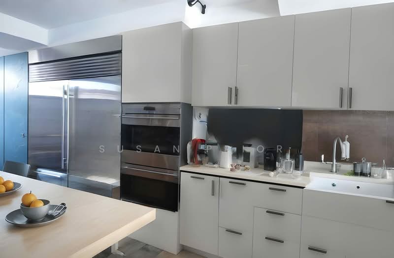 East Wow Shophouse, , 4 Bedrooms, 4,850 sqft, Conservation House For Sale, by Susan Prior, 500103922 - Kitchen - PropertyGuru.com.sg