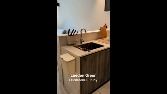 Leedon Green, 32 Leedon Heights, 1 Bedroom, 538 sqft, Condominium For Sale, by Cyril Tuzemen, 500104061 - PropertyGuru.com.sg