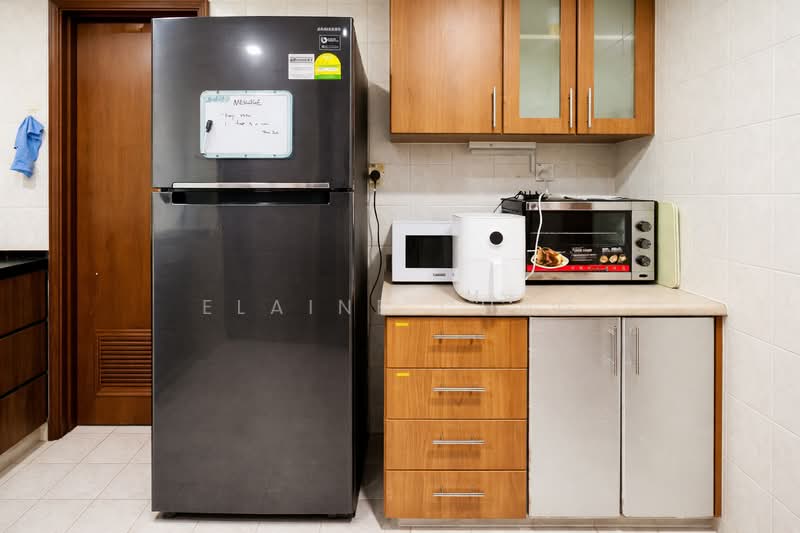 Hazel Park Condo, 25 Hazel Park Condo, Room Rental, 75 sqft, Condominium For Rent, by Elaine Chng, 500104083 - Kitchen - PropertyGuru.com.sg