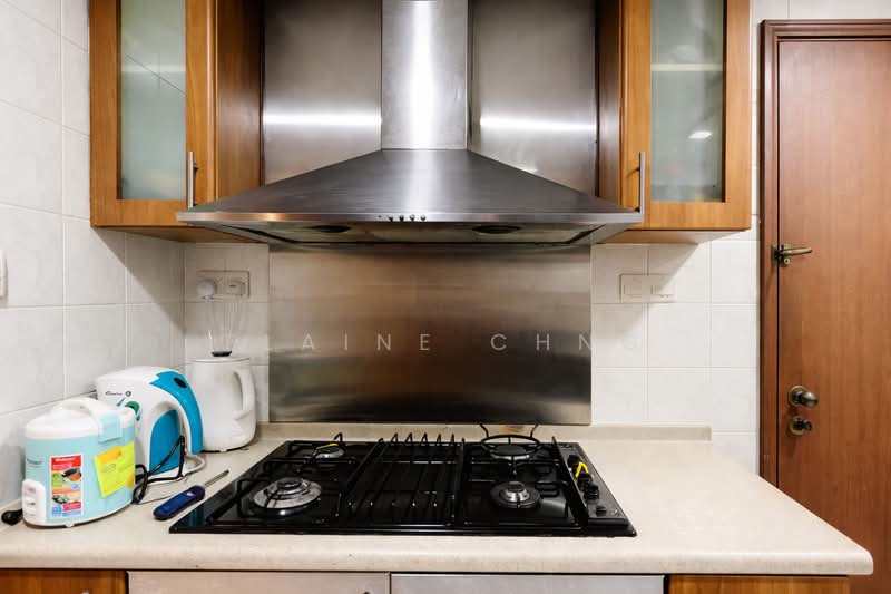 Hazel Park Condo, 25 Hazel Park Condo, Room Rental, 75 sqft, Condominium For Rent, by Elaine Chng, 500104083 - Kitchen - PropertyGuru.com.sg