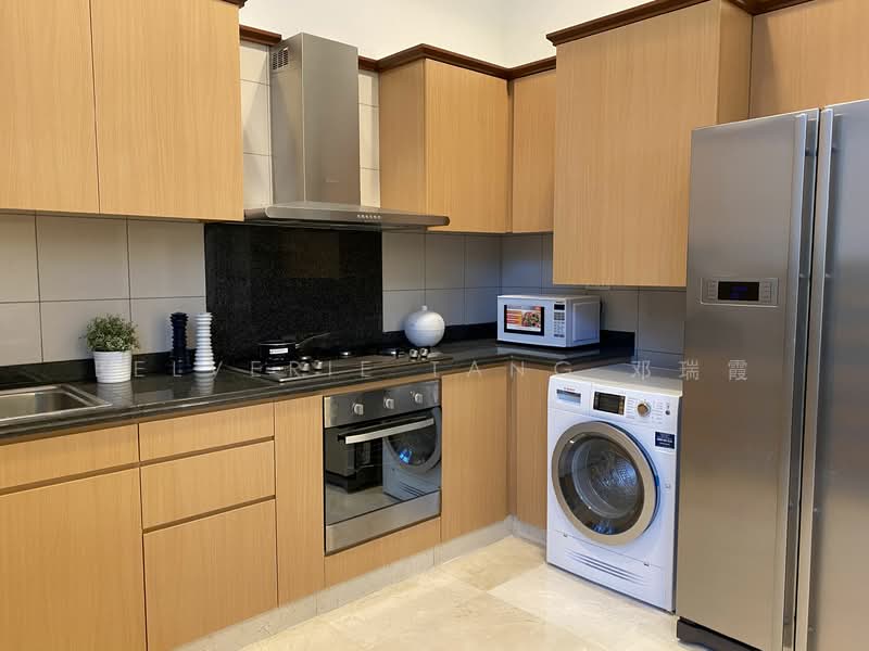 Orchard Scotts, 11 Anthony Road, 1 Bedroom, 764 sqft, Condominium For Rent, by Belverie Tang 邓瑞霞, 500104118 - Kitchen - PropertyGuru.com.sg