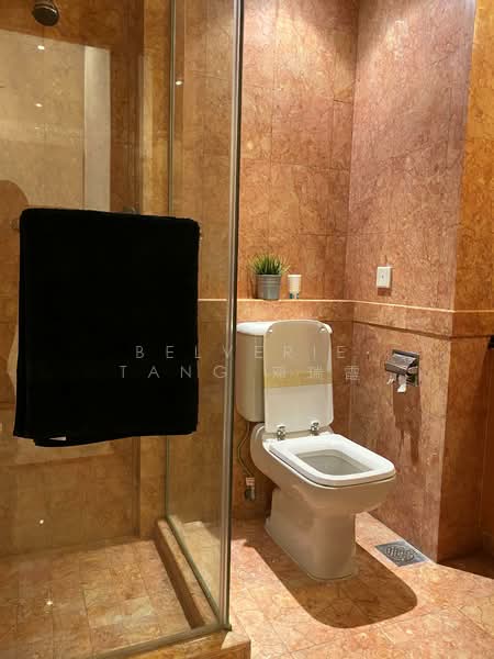 Orchard Scotts, 11 Anthony Road, 1 Bedroom, 764 sqft, Condominium For Rent, by Belverie Tang 邓瑞霞, 500104118 - Bathroom - PropertyGuru.com.sg