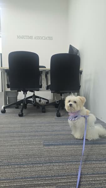One Commonwealth, 1 Commonwealth Lane, 1,582 sqft, Light Industrial (B1) For Rent, by Madelene Low Chor Li, 500104204 - Interior - CommercialGuru.com.sg