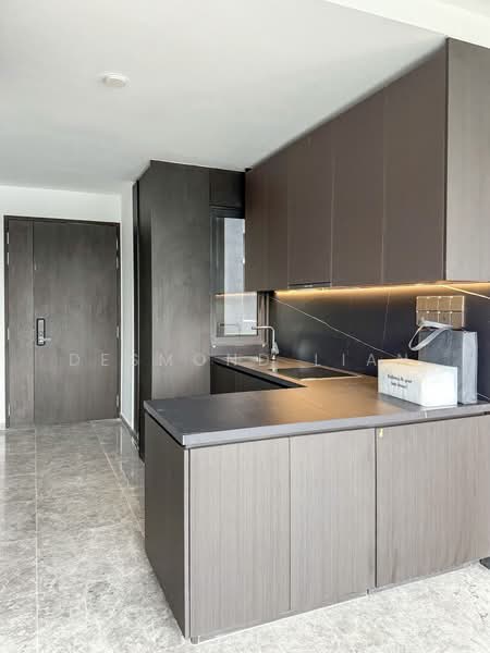 Hyll on Holland, 91 Holland Road, 2 Bedrooms, 700 sqft, Condominium For Sale, by Desmond Lian, 500104283 - Kitchen - PropertyGuru.com.sg