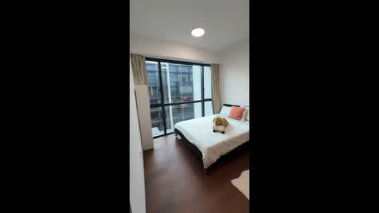 Piccadilly Grand, 3 Northumberland Road, Room Rental, 195 sqft, Condominium For Rent, by Erik Wang, 500104488 - PropertyGuru.com.sg