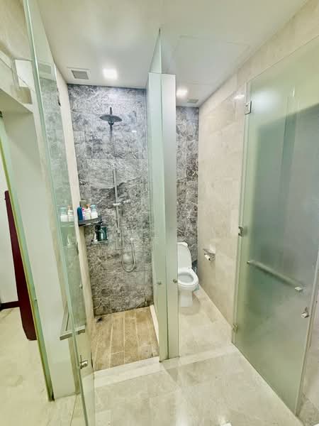 The Hillier, 6 Hillview Rise, 1 Bedroom, 624 sqft, Condominium For Rent, by Louis Ang 洪家豪, 500104510 - Bathroom - PropertyGuru.com.sg