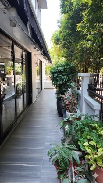 Begonia - Rare Modern House Like New, Begonia Walk / Begonia Drive, 5 Bedrooms, 3,400 sqft, Corner Terrace For Sale, by Teresa Wong, 500104590 - Exterior - PropertyGuru.com.sg