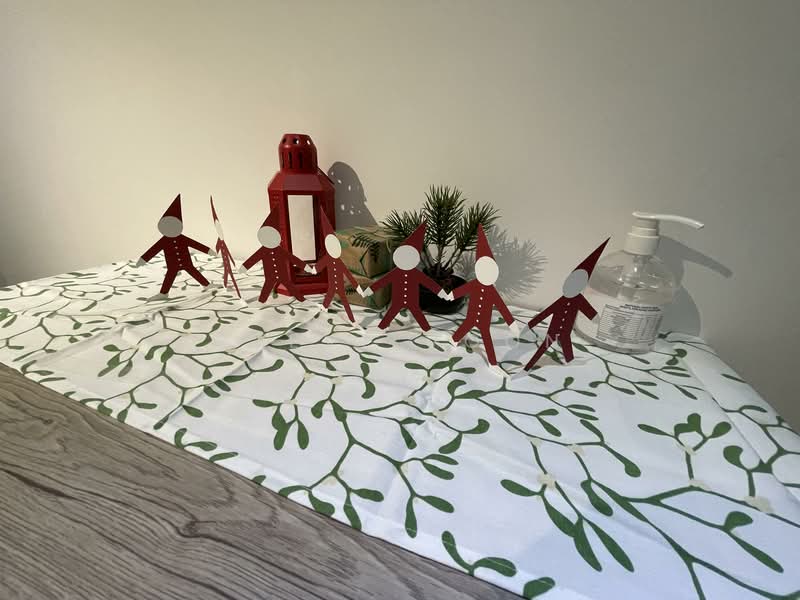 Botannia, 31 West Coast Park, Room Rental, 200 sqft, Condominium For Rent, by Steve Voon, 500104861 - PropertyGuru.com.sg