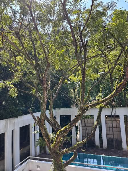 48 Belmont road, , 5 Bedrooms, 7,200 sqft, Good Class Bungalow For Rent, by Andrew Yong, 500104948 - Exterior - PropertyGuru.com.sg