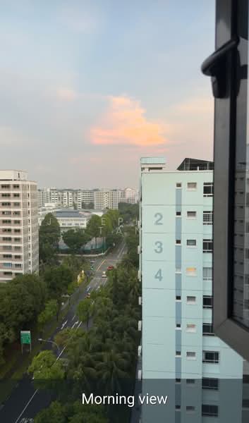 235 Pasir Ris Street 21, 235 Pasir Ris Street 21, 4 Bedrooms, 1,604 sqft, HDB Flat For Sale, by Josephine Tan, 500105042 - View - PropertyGuru.com.sg