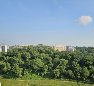 For Sale - 450D Bukit Batok West Avenue 6