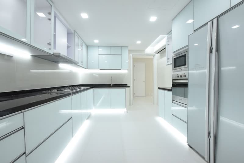 Nassim Jade, 3 Nassim Road, 3 Bedrooms, 2,400 sqft, Condominium For Rent, by Fanny Ong, 500105462 - Kitchen - PropertyGuru.com.sg