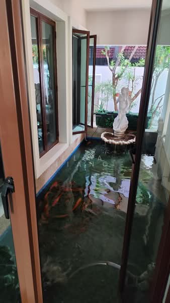 Freehold Detached House with Pool @ Prime District 11, Tan Boh Sim, 5 Bedrooms, 4,000 sqft, Detached House For Sale, by Elva Liang, 500105527 - Garden - PropertyGuru.com.sg