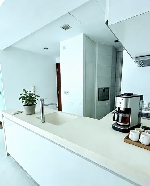 Suites at Orchard, 38 Handy Road, 2 Bedrooms, 861 sqft, Condominium For Sale, by William Teo, 500105528 - Kitchen - PropertyGuru.com.sg