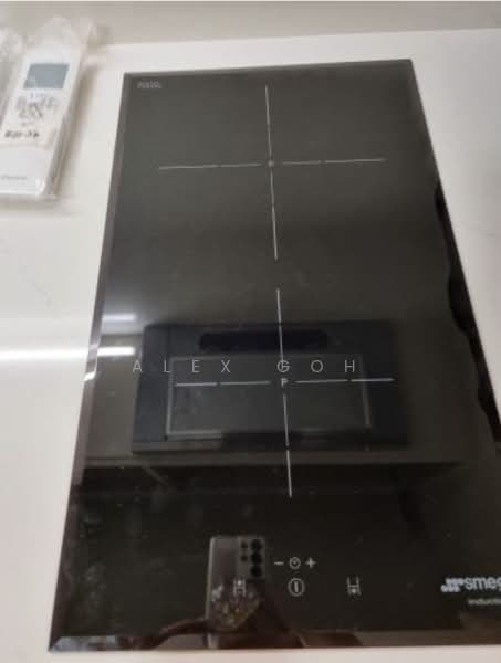 JadeScape, 16 Shunfu Road, 1 Bedroom, 527 sqft, Condominium For Rent, by Alex Goh, 500105568 - PropertyGuru.com.sg