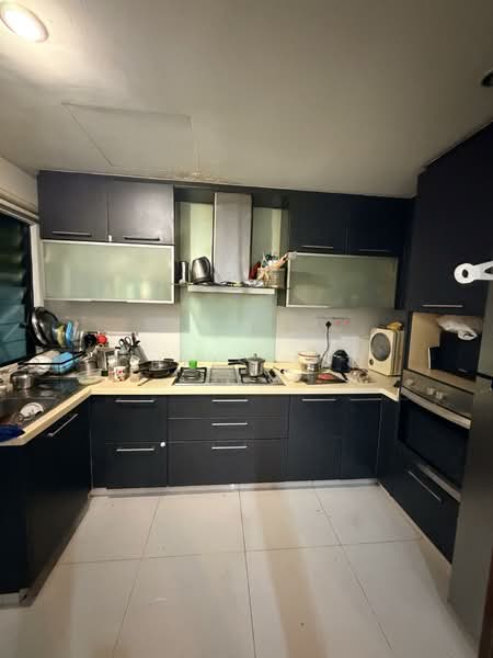 The Anchorage, 370 Alexandra Road, 2 Bedrooms, 1,195 sqft, Condominium For Rent, by Chris Tan, 500105575 - Kitchen - PropertyGuru.com.sg