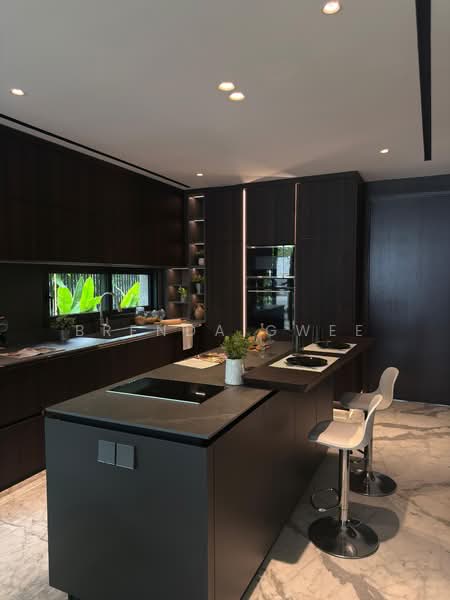 78 Fernhill close, , 7 Bedrooms, 5,642 sqft, Semi-Detached House For Sale, by Brenda Gwee, 500106014 - Kitchen - PropertyGuru.com.sg