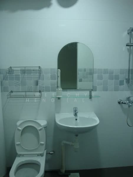 113 Lorong 3 Geylang, 113 Lorong 3 Geylang, 3 Bedrooms, 1,152 sqft, HDB Flat For Rent, by Wee Chye Heng (Alan Wee), 500106034 - Bathroom - PropertyGuru.com.sg