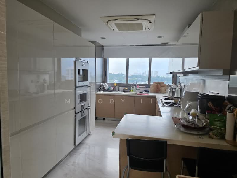 One Robin, 1 Robin Road, 4 Bedrooms, 1,905 sqft, Condominium For Sale, by Melody Lim, 500106169 - Kitchen - PropertyGuru.com.sg