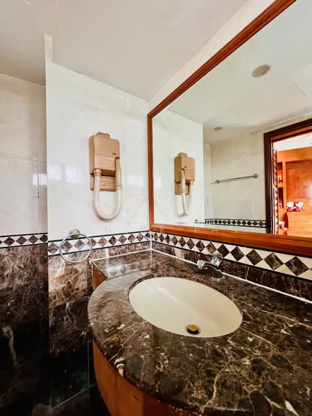 Southaven II, 33 Hindhede Walk, 4 Bedrooms, 3,789 sqft, Condominium For Rent, by Denise Tan, 500106392 - Bathroom - PropertyGuru.com.sg