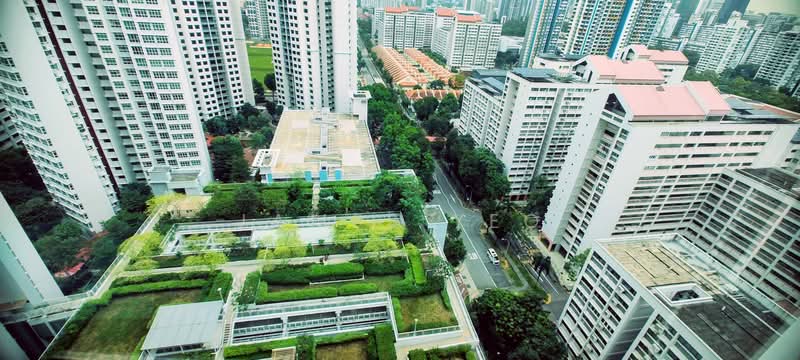 113A McNair Towers, 113A Mcnair Road, 3 Bedrooms, 1,001 sqft, HDB Flat For Sale, by James Yeo, 500106639 - Exterior - PropertyGuru.com.sg
