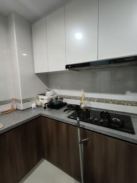 Dover Parkview, 30 Dover Rise, Room Rental, 200 sqft, Condominium For Rent, by Alan Huy, 500106814 - Kitchen - PropertyGuru.com.sg