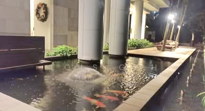 For Rent - The View @ Meyer