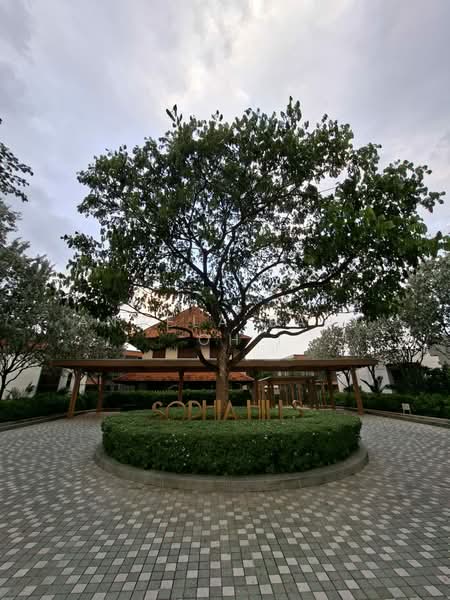 Sophia Hills, 5 Mount Sophia, 2 Bedrooms, 592 sqft, Condominium For Rent, by Angela Baby Oh, 500106943 - Exterior - PropertyGuru.com.sg