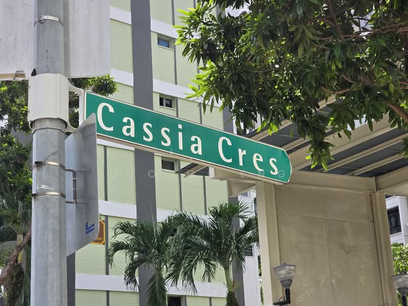54 Cassia Crescent, 54 Cassia Crescent, 3 Bedrooms, 1,001 sqft, HDB Flat For Sale, by George Eng, 500107001 - PropertyGuru.com.sg