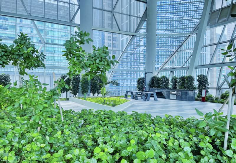 V on Shenton, 5 Shenton Way, 2 Bedrooms, 958 sqft, Condominium For Sale, by Jowell Chia 谢炳耀, 500107064 - Facilities - one of the BBQ station - PropertyGuru.com.sg