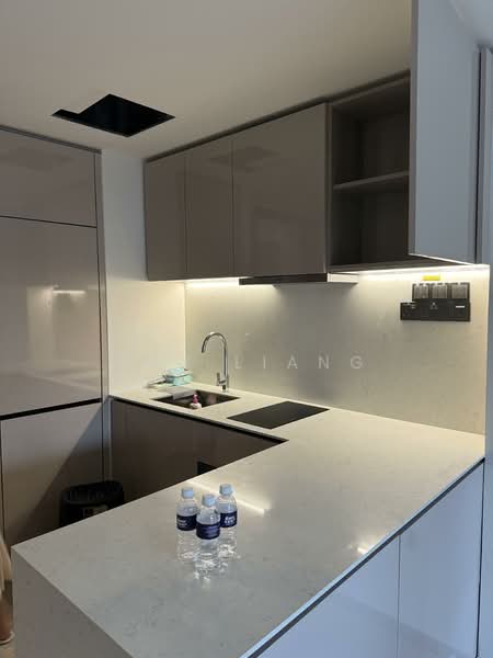 Forett at Bukit Timah, 34A Toh Tuck Road, 2 Bedrooms, 689 sqft, Condominium For Sale, by Roy Liang, 500107191 - Kitchen - PropertyGuru.com.sg