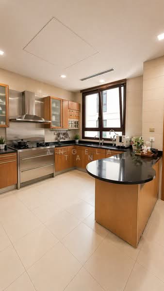 Ardmore Park, 15 Ardmore Park, 4 Bedrooms, 2,885 sqft, Condominium For Sale, by Angela Tan, 500107659 - Kitchen - PropertyGuru.com.sg